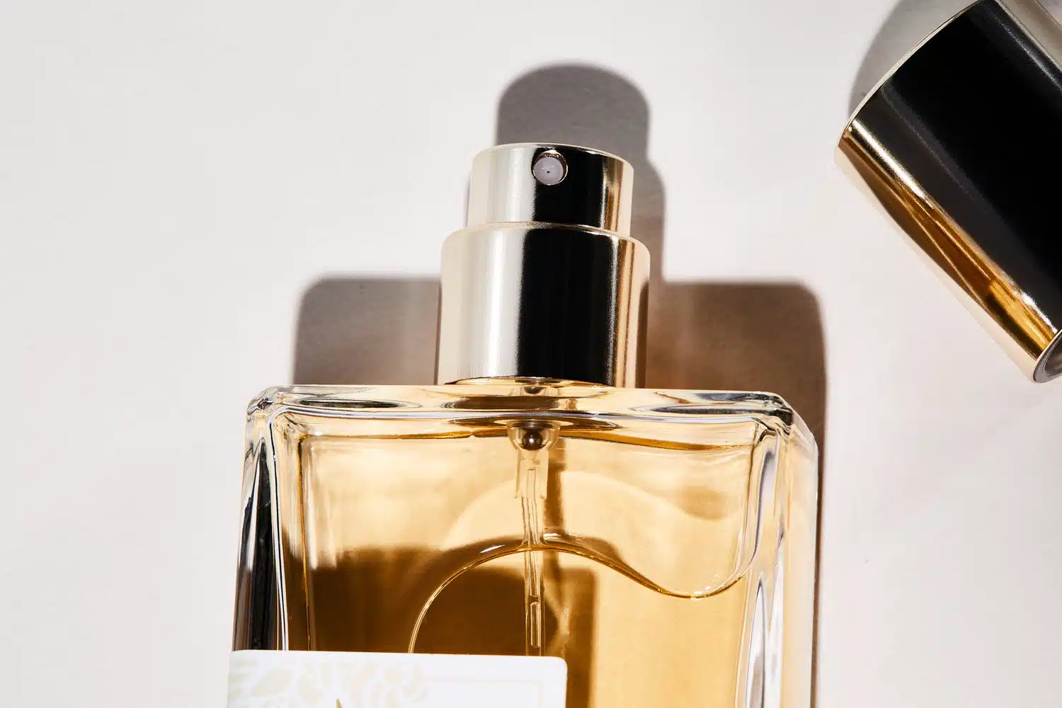 1733750170 The 12 Best Affordable Perfumes of 2024 Tested and Reviewed